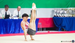 gam sfe00772 copia simone ferraro ph